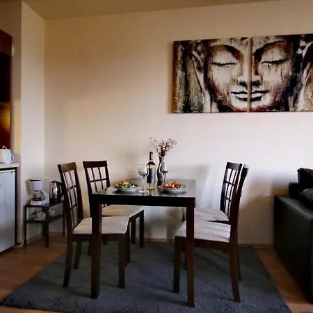 Rila View Apartment