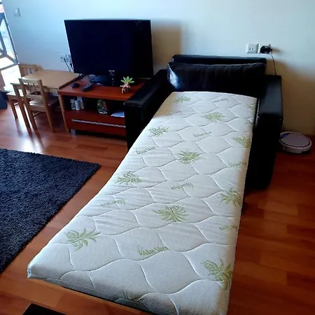 Rila View Apartment *